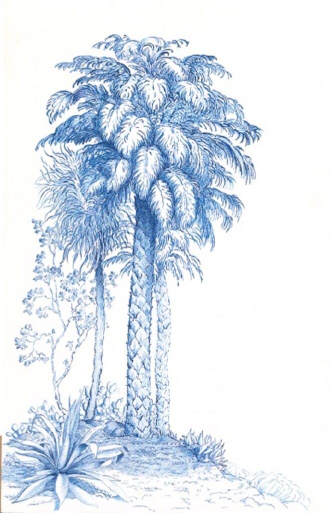 Le palmier, version bleue