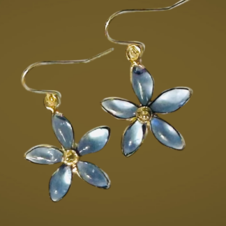 Voir le produit Boucles d' oreilles du marchand Beatrice Dujarrier